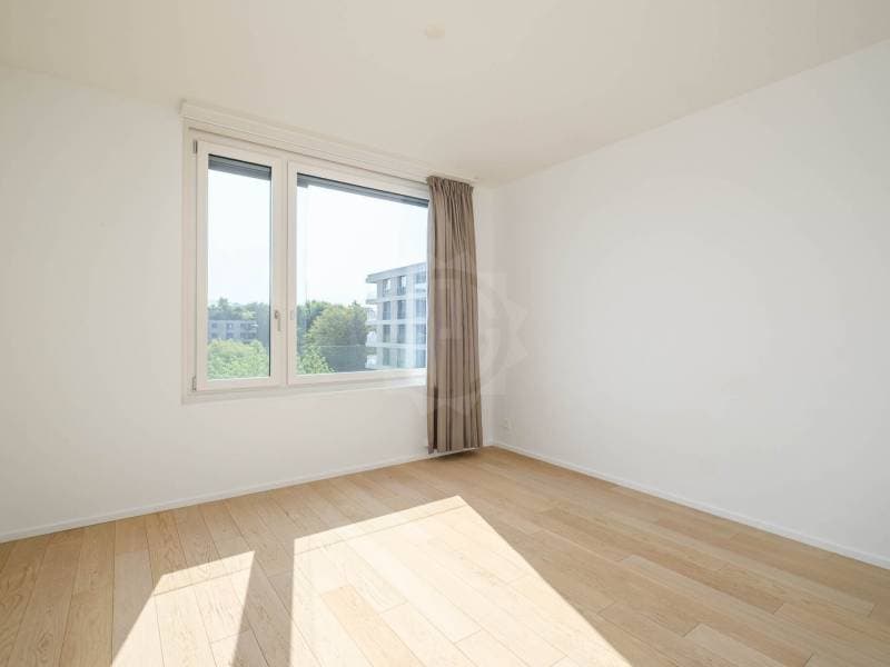 Spacious Apartment - Geneva (6)