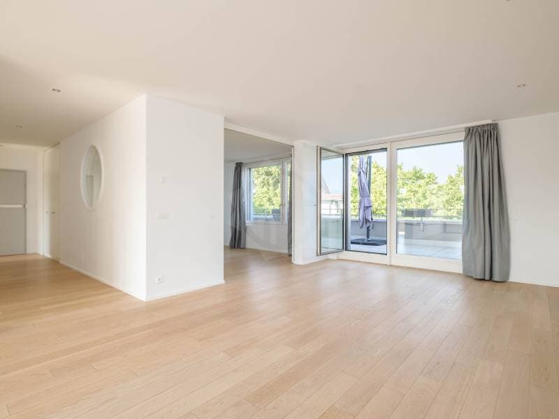 Spacious Apartment - Geneva (2)
