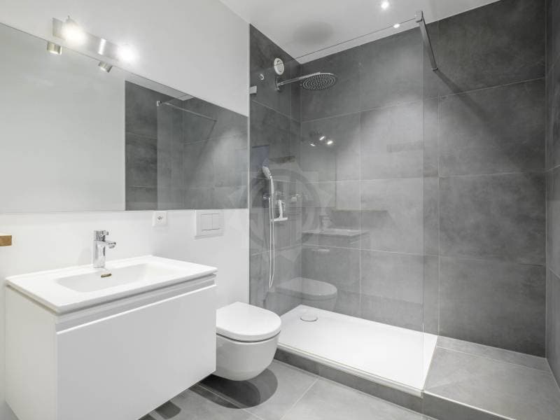 Spacious Apartment - Geneva (7)