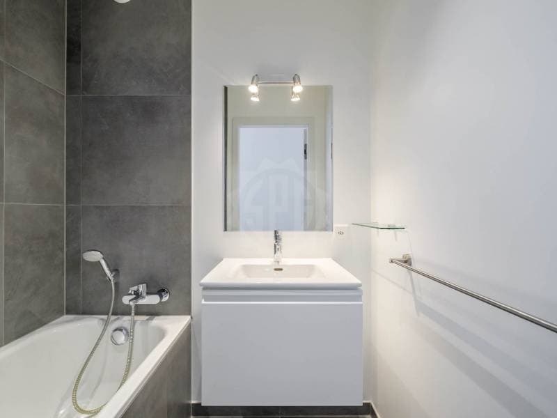 Spacious Apartment - Geneva (8)