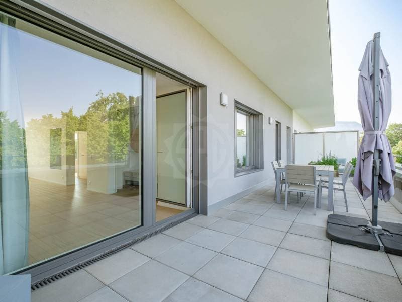 Spacious Apartment - Geneva (9)