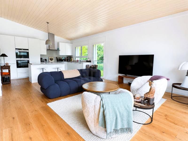Appartement lumineux - Troinex (4)