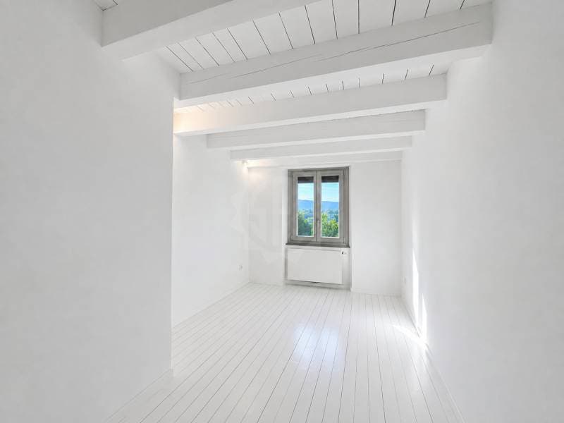 Chaleureuse villa - Athenaz (Avusy) (9)