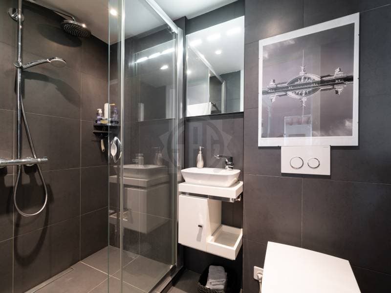 Chaleureux appartement - Chêne-Bourg (7)