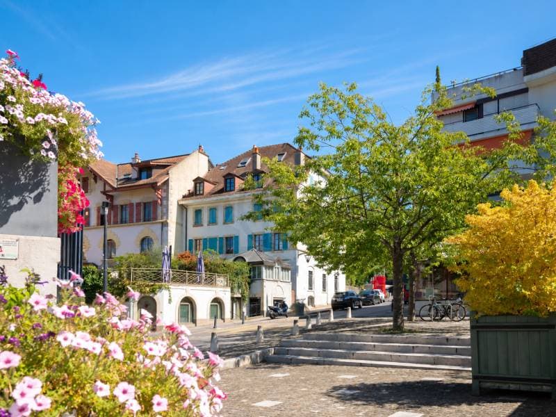 Chaleureux appartement - Chêne-Bourg (1)