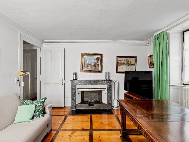 Chaleureux appartement - Chêne-Bourg (12)