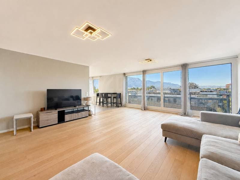 Appartement exceptionnel - Genève (1)