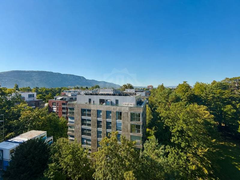 Appartement exceptionnel - Genève (10)
