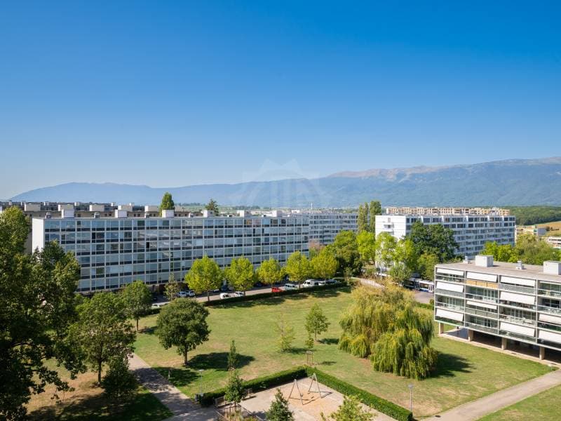 Grand  appartement - Meyrin (11)