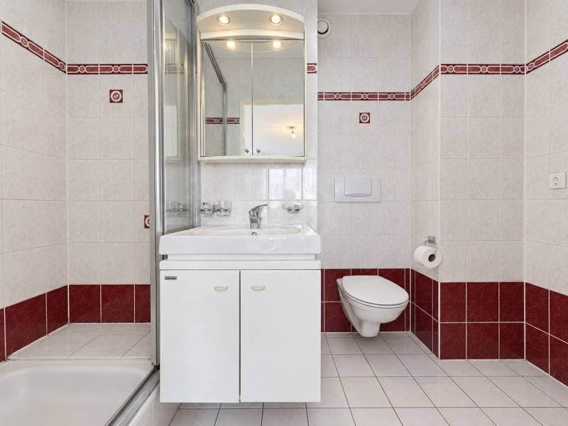 Chaleureux appartement - Le Grand-Saconnex (10)