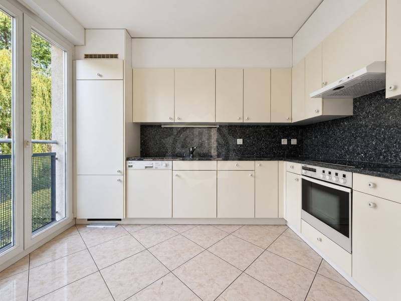 Chaleureux appartement - Le Grand-Saconnex (5)