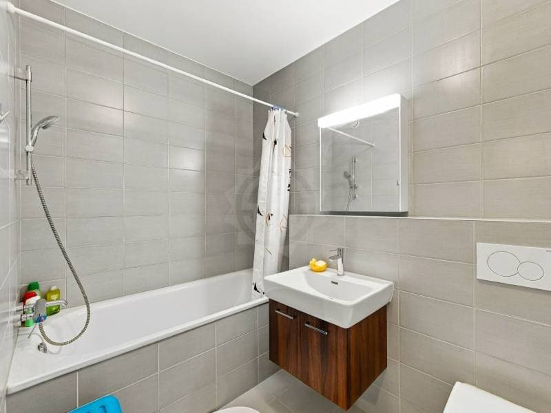 Bel appartement - Meyrin (8)