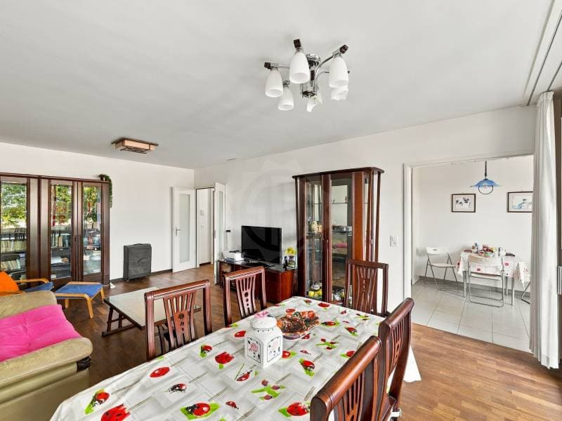 Bel appartement - Meyrin (2)