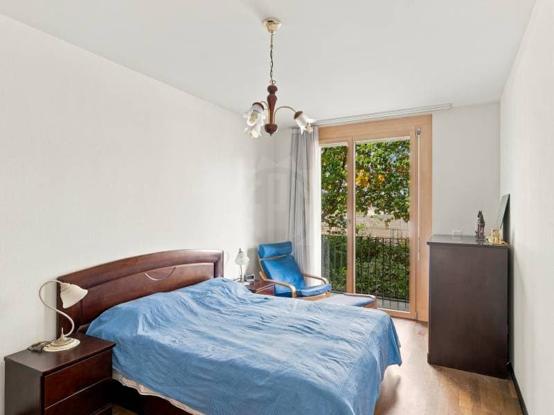 Bel appartement - Meyrin (7)