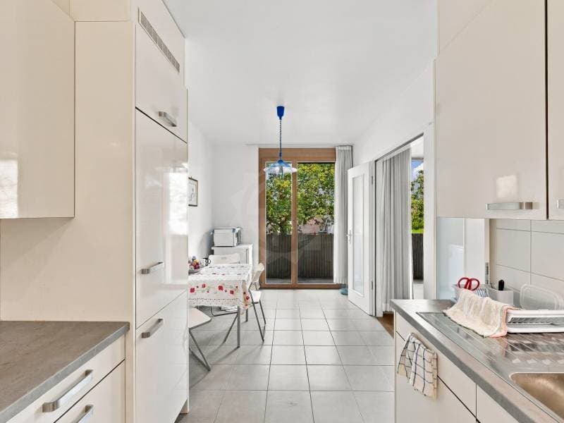 Bel appartement - Meyrin (6)