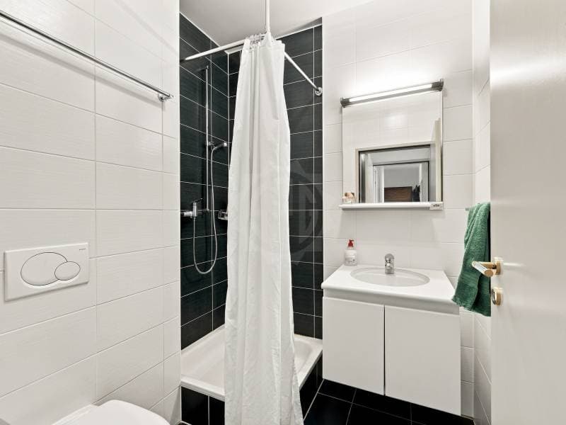 Appartement lumineux - Versoix (7)