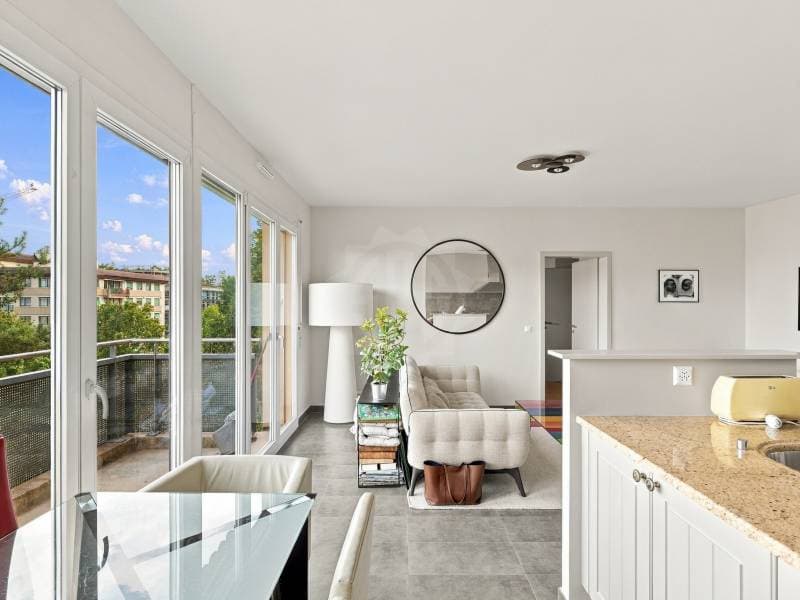 Appartement lumineux - Versoix (1)