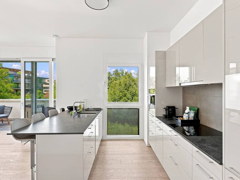 Appartement contemporain - Plan-les-Ouates (4)