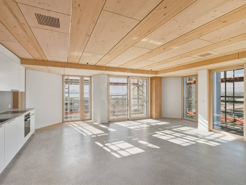 Magnifique appartement - Prilly (6)