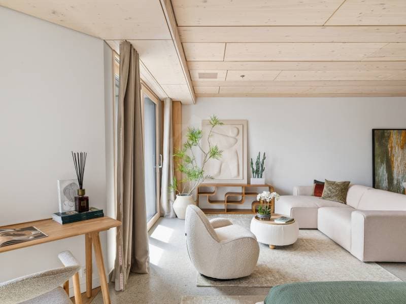 Magnificent apartment - Prilly (6)