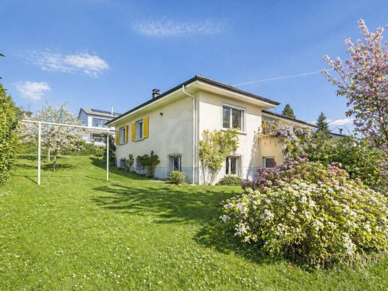 Magnifique villa - Le Mont-sur-Lausanne (1)