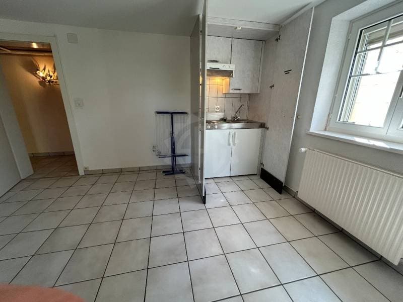 Chaleureuse villa - Renens VD (5)