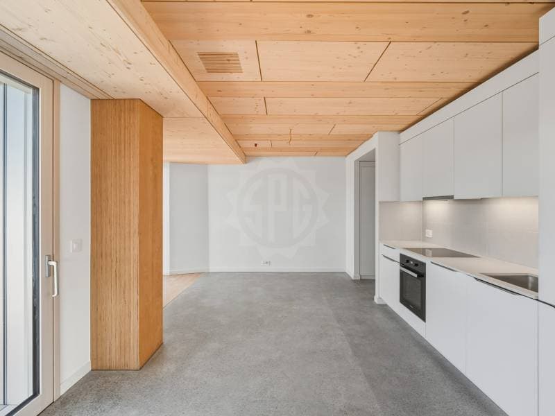 Prächtige Wohnung - Prilly (4)