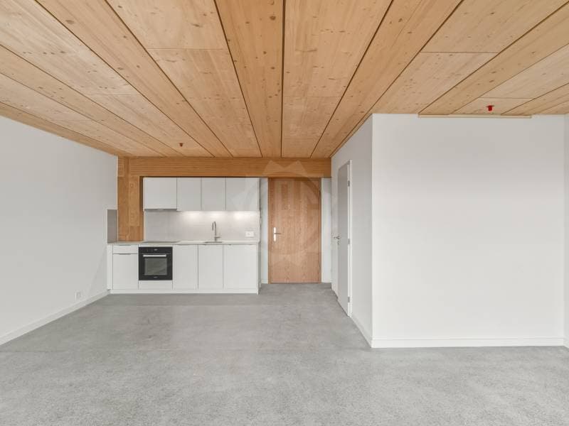 Magnifique appartement - Prilly (3)