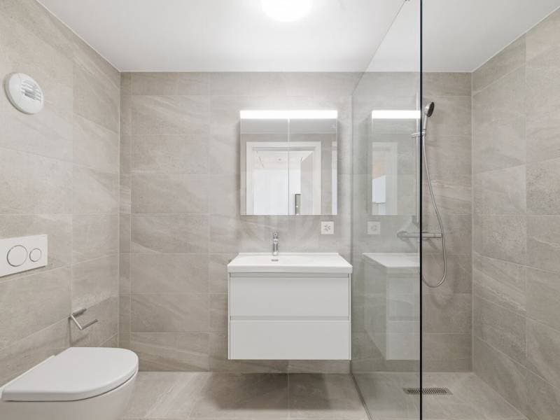 Magnifique appartement - Prilly (6)