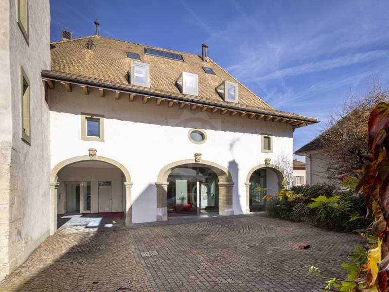 Delightful Villa - Aubonne (1)