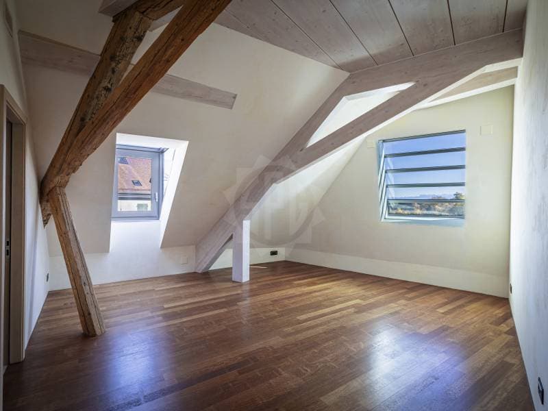 Crossing Apartment - Aubonne (4)