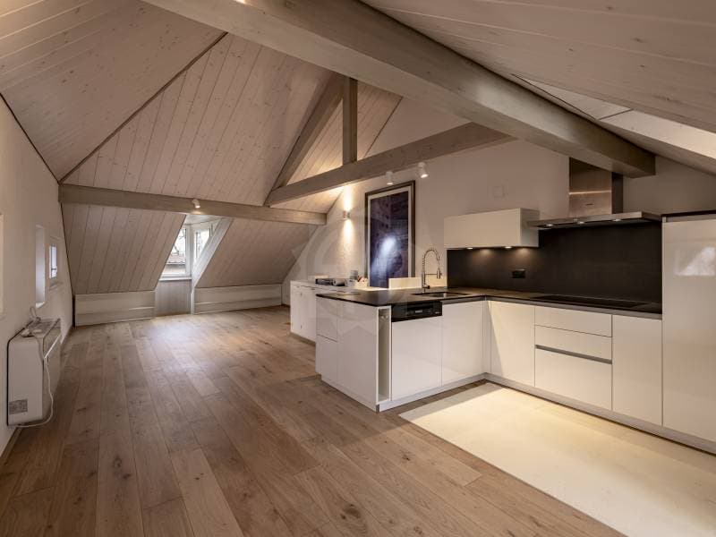 Bright Apartment - Allaman (6)