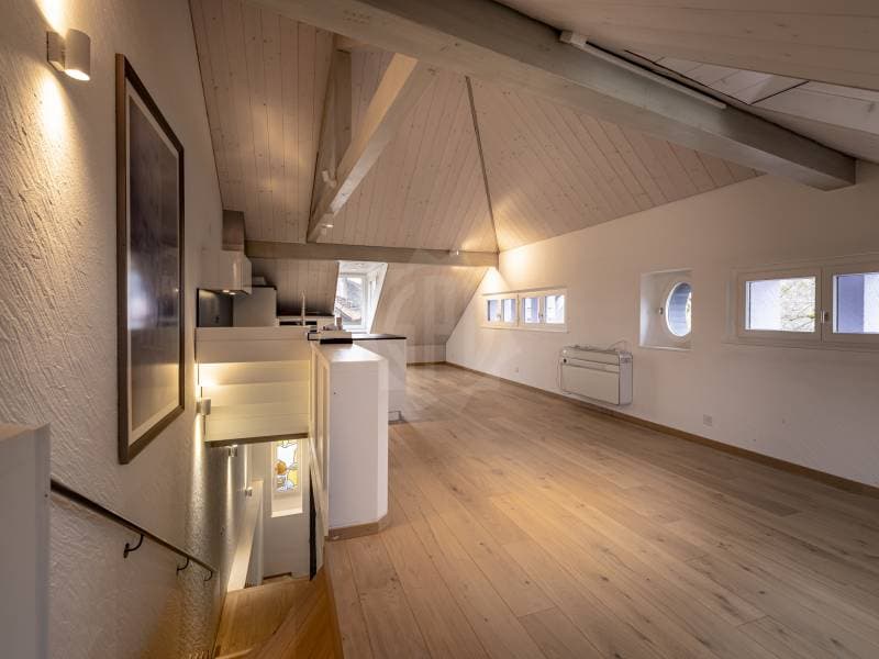 Bright Apartment - Allaman (5)