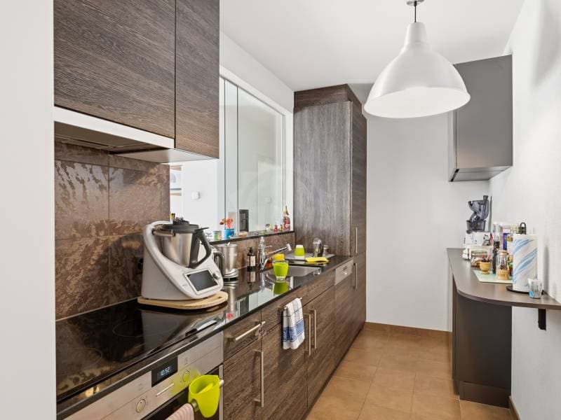 Appartamento gradevole - Nyon (2)