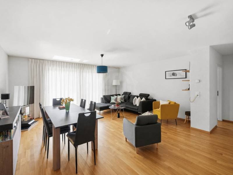 Pleasant Apartment - Nyon (1)