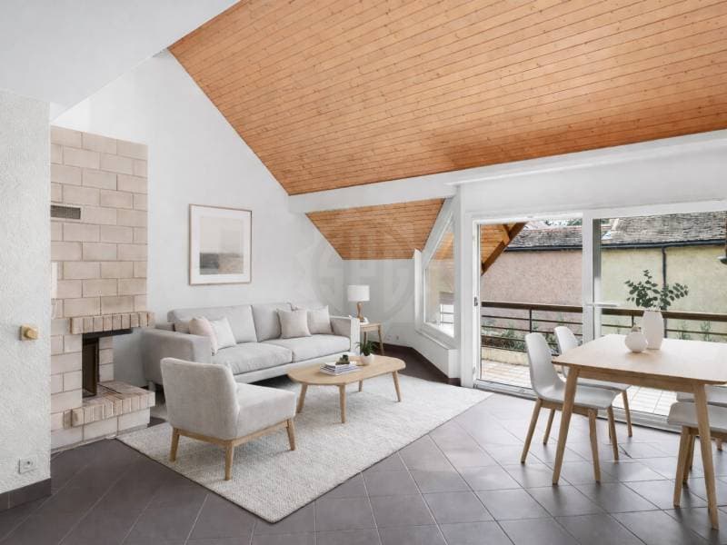 Charming apartment - Nyon (3)