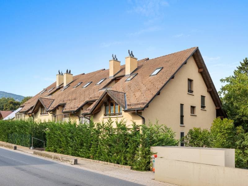 Charming Apartment - Nyon (7)
