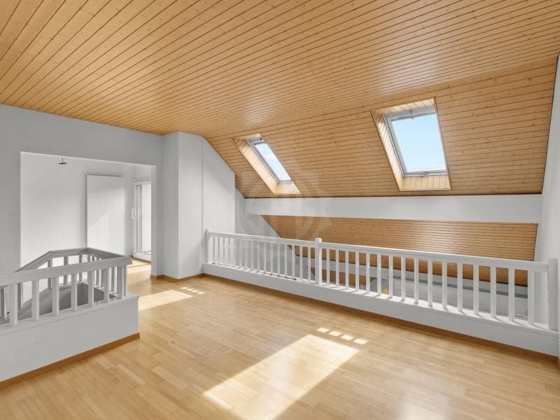 Charming Apartment - Nyon (5)