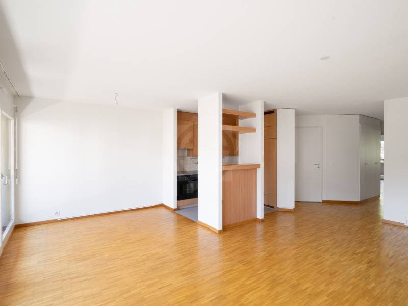Crossing Apartment - Nyon (2)