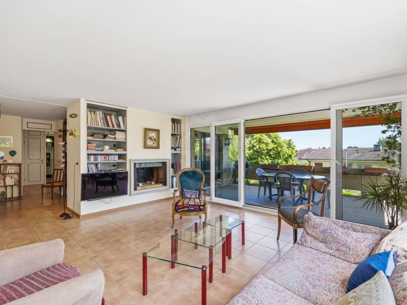 Convivial apartment - Prangins (1)