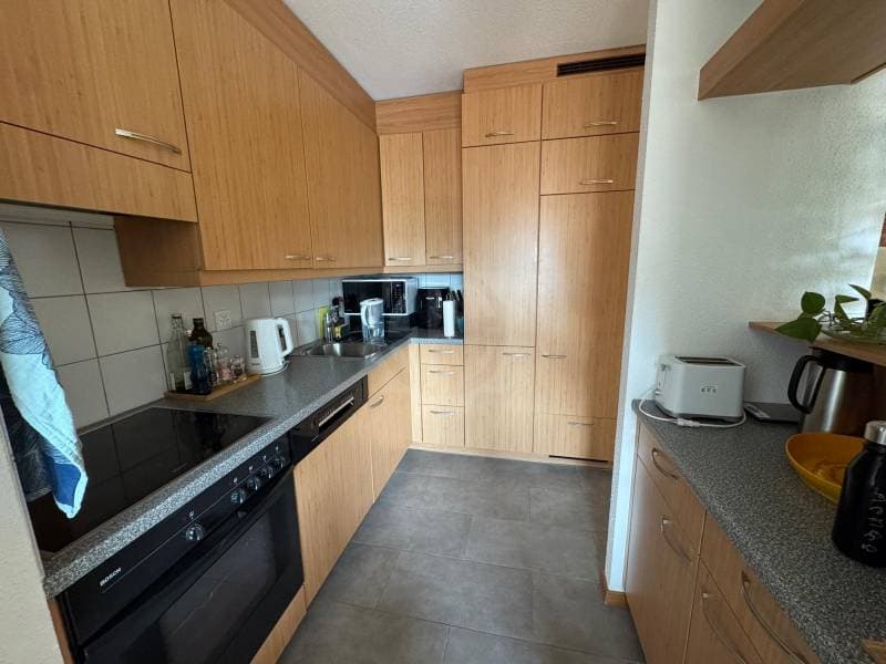 Crossing Apartment - Nyon (3)