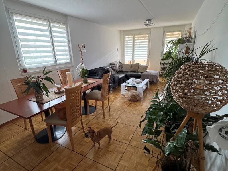 Pleasant Apartment - Mont-sur-Rolle (3)