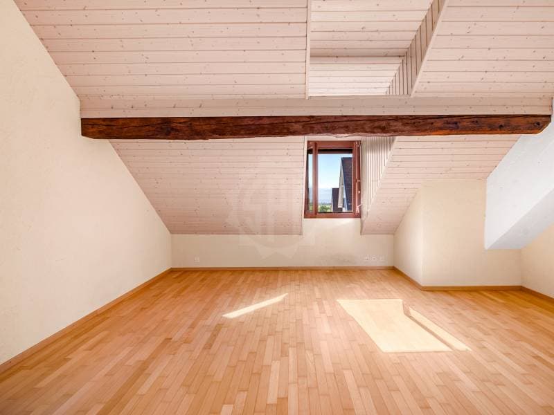 Appartement convivial - Trélex (5)