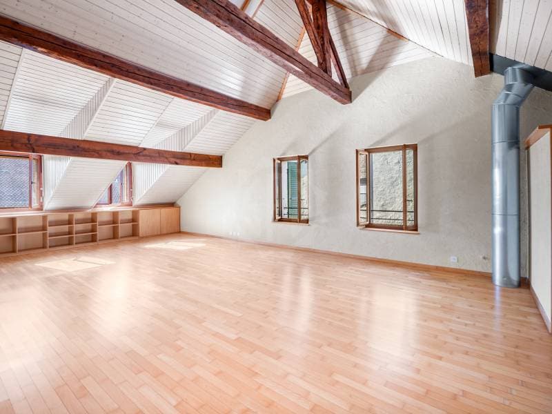 Appartement convivial - Trélex (7)