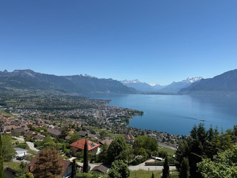 Aerial view of a town with houses, mountains, and a lake