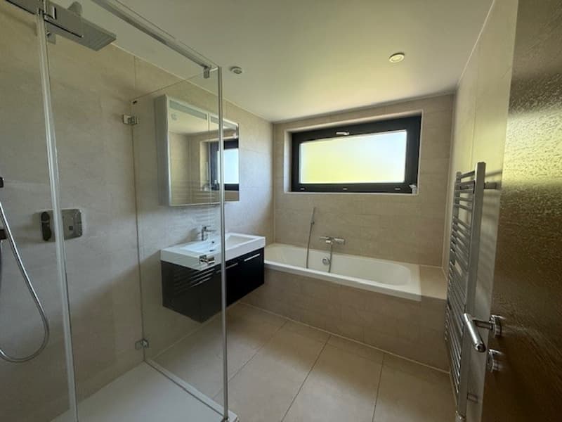 modern bathroom with shower, bathtub, sink, mirror, and towel rack