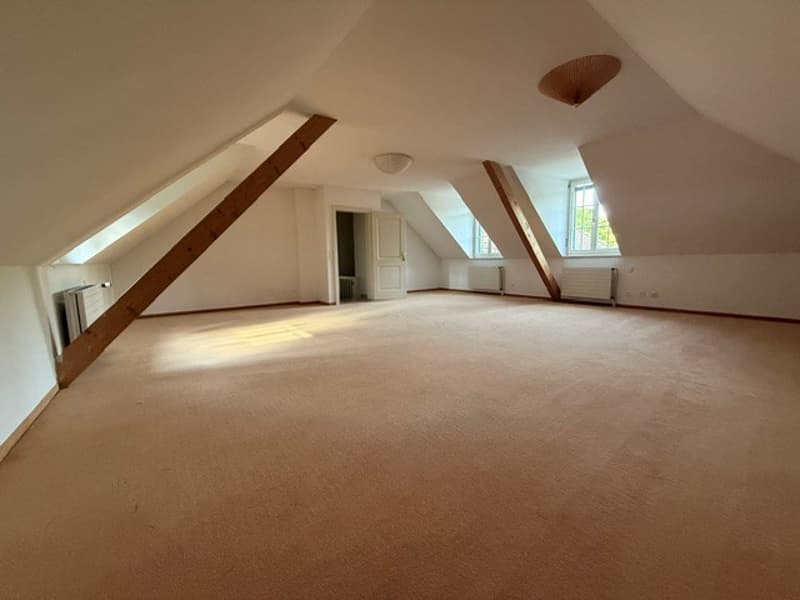 Magnificent property in a green setting in Lausanne (11)