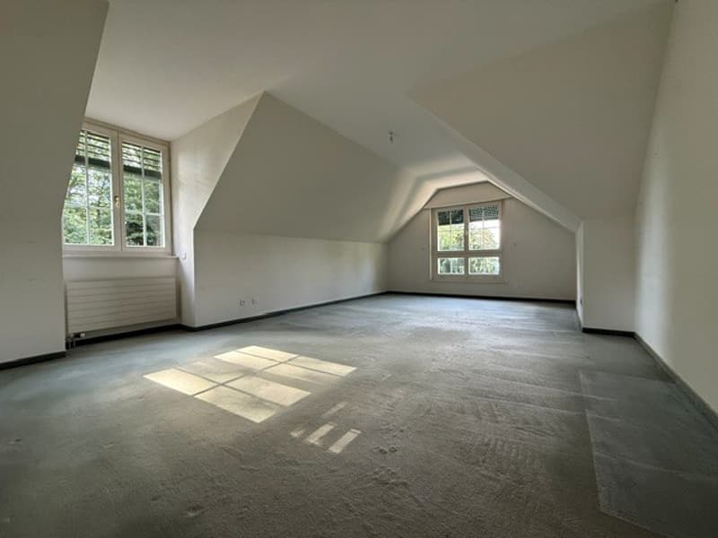 Magnificent property in a green setting in Lausanne (8)