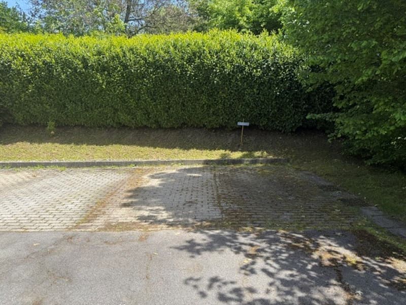 Spacious 5.5-room apartment in Savigny (13)