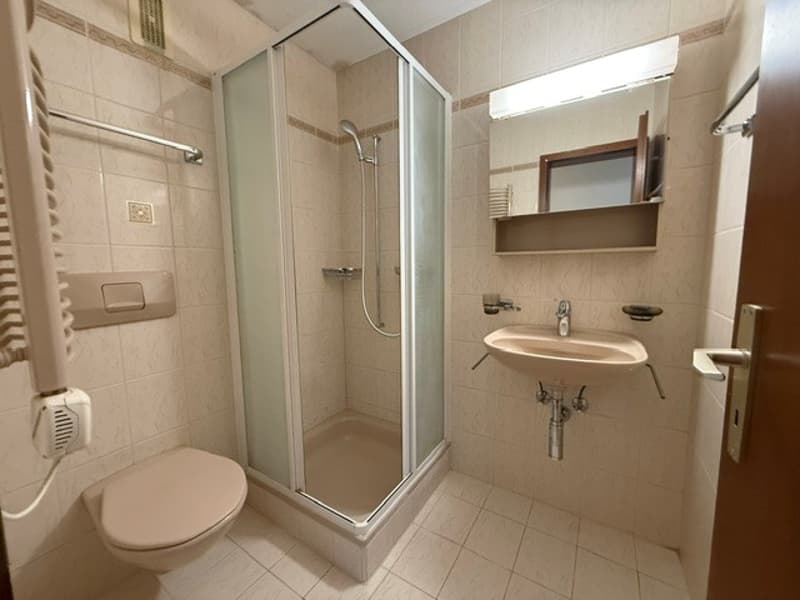 Spacious 5.5-room apartment in Savigny (9)